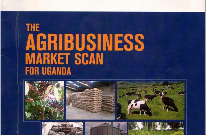 The Agribusiness Market Scan 2016
